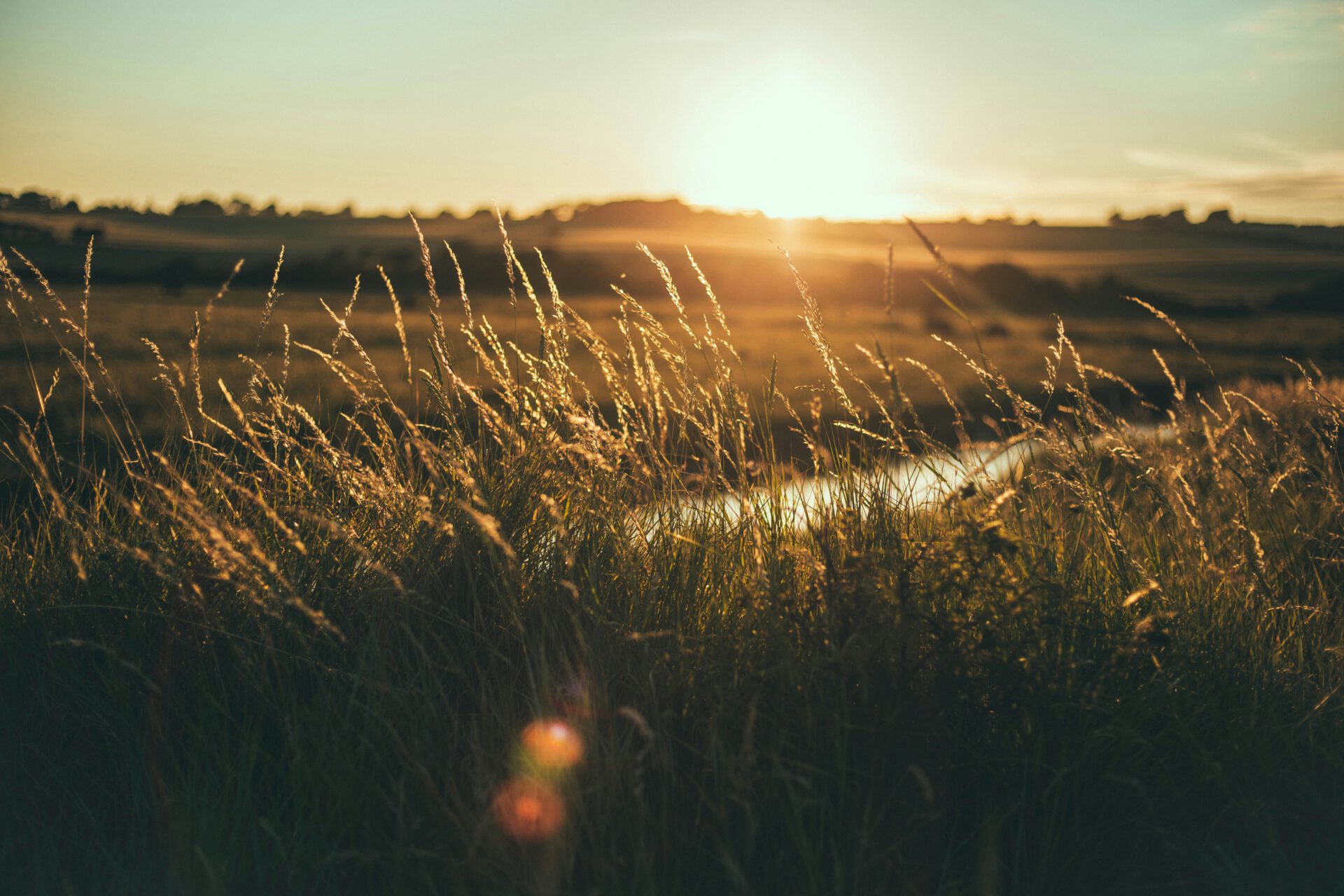 Innere Widerstandskraft stärken im Alltag: Die sieben Säulen der Resilienz verständlich erklärt